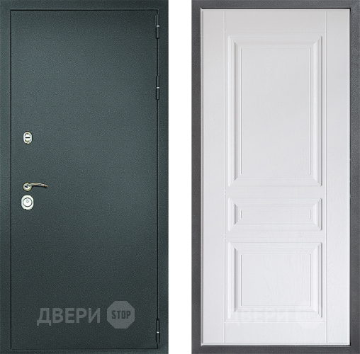 Входная металлическая Дверь Дверной континент Рубикон Серебро Дизайн ФЛ-243 Альберо Браш серебро в Волоколамске