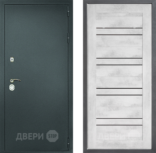 Входная металлическая Дверь Дверной континент Рубикон Серебро Дизайн ФЛ-49 Бетон снежный в Волоколамске